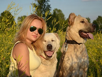Instruirea câinilor pe babushkinskaya de la 1600 de ruble! Apăsați!