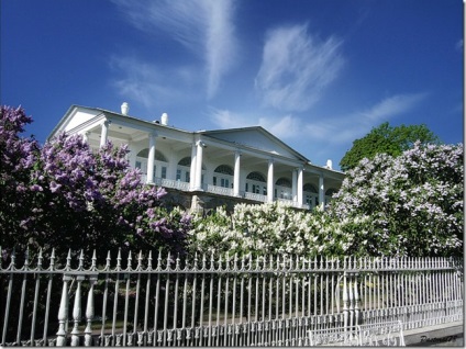 Catherine Palace