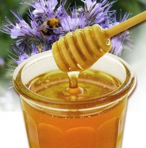 Fazelium miere și proprietățile sale benefice