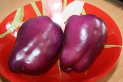 Descrierea soiurilor de piper purpuriu cu fotografii, recenzii