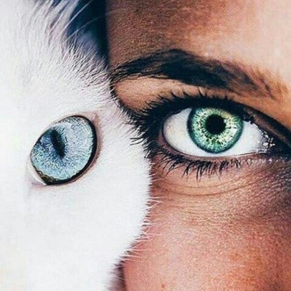 Fotografia unui ochi pe un avu