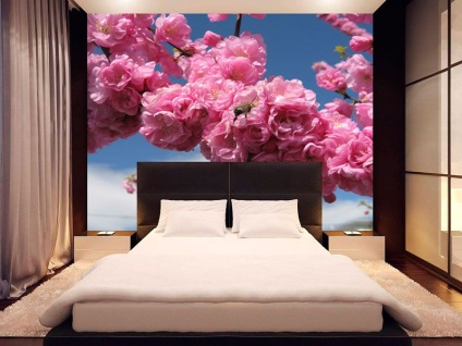 Sakura Wall Mural - cumpara un wallpaper sakura in magazinul online klv