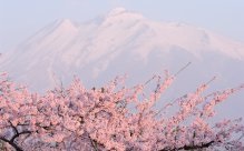 Fundaluri de fotografie din Japonia 250 р