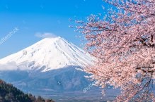 Fundaluri de fotografie din Japonia 250 р