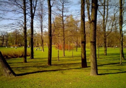 Fotografii în grădina Taurida din Sankt Petersburg