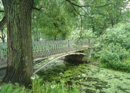 Fotografii în grădina Taurida din Sankt Petersburg