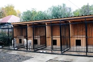 Hotel pentru animale de companie - plan de afaceri, recomandări pentru deschidere