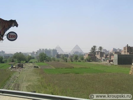 Cairo și piramidele - fotografii și impresii ale excursiei spre capitala Egiptului, spre marele Sfinx și