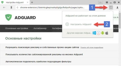 Cum să eliminați definitiv publicitatea în browser-ul Yandex cea mai completă instrucțiune!