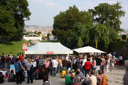 Cum de a pune varza în aerogril - rețete delicioase 2017 cu o fotografie