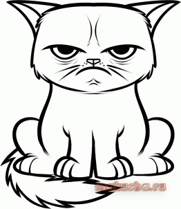 Cum de a desena o pisica furios faimos (pisica grumpy), cât de ușor și ușor de a trage cu un creion,