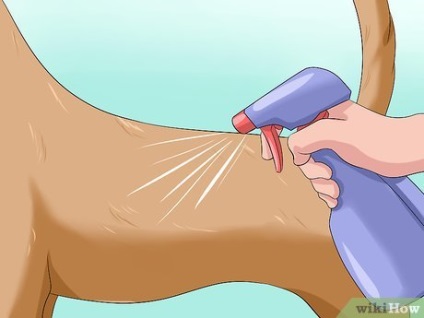 Cum să elimini un miros neplăcut de la un câine