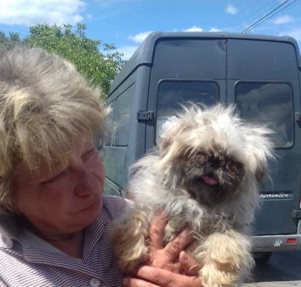 Cum - crescatori - de la kiev vinde - elita - câini - câine, рбк украина