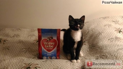 Alimente pentru pisici wahre liebe junior (pentru pisoi) - 