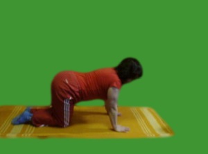 Gimnastica terapeutica cu periartroza periartrita, exercitii de fizioterapie