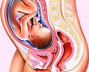 Uterul în timpul sarcinii, ce ar trebui să fie în termeni de