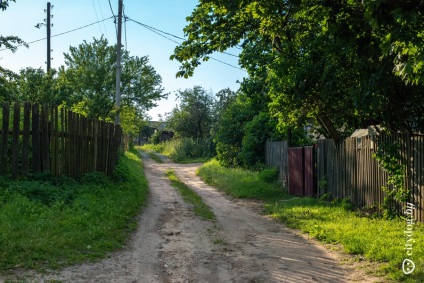 Мінська сієста ті самі ідеальні дрозди, журнал про Мінську