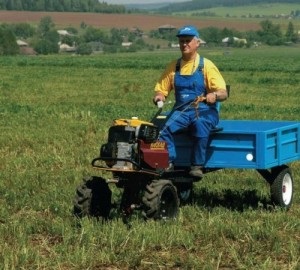 Mi írja le részletesen, hogyan kell választani egy kultivátor, hogy megfelelő