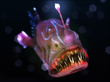 Sea Devil (piercer)