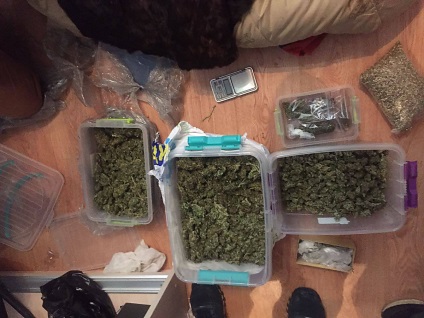 Területén Nikolaev területen rendőrök lefoglalt kábítószer-kereskedők 90 kilogramm kannabiszt, és