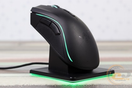 Revizuirea și testarea jocului manipulator razer mamba chroma