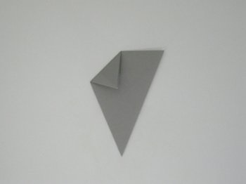 Origami curcan
