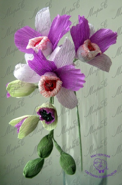 Orhideele dulciurilor și hârtiei ondulate