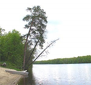 Pensiunea orbita Lake Mink