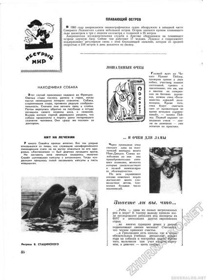 Floating Osgrove ochelari de balenă pentru câini cu experiență pe tratament - în întreaga lume 1963-02, pagina 62