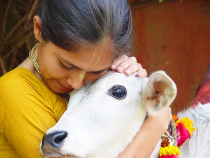 Pro și contra de vegetarianism, beneficii și rău pentru femei și bărbați