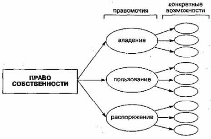 Conceptul de proprietate și conținutul său