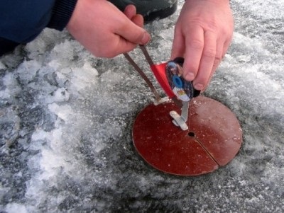 Năluci pentru pescuitul de iarnă - sfaturi pentru pescari, o revistă - ne prindem