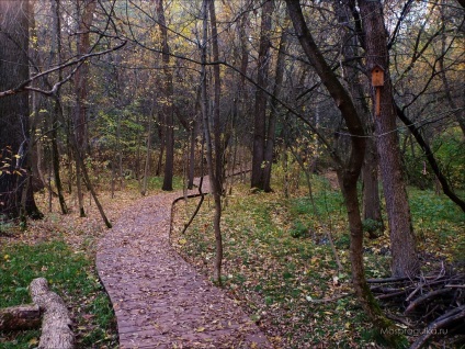 Природен резерват - Спароу Hills - Москва