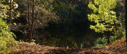 Rezervația naturală - munți de vrabie - la Moscova