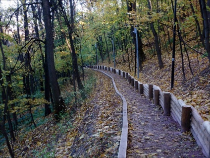 Rezervația naturală - munți de vrabie - la Moscova