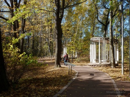 Rezervația naturală - munți de vrabie - la Moscova