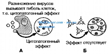 Реакції нейтралізації (рн)