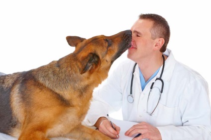 Recomandări pentru vaccinarea câinilor - mugurii de viață
