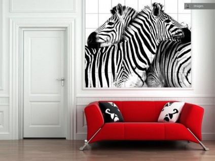 Figura Zebra în interior - 80 de fotografii