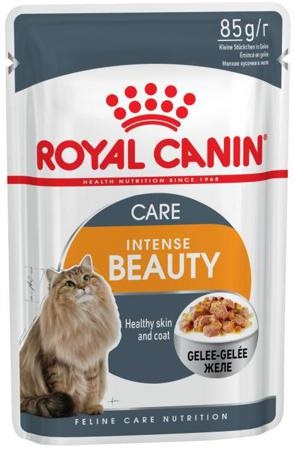 Royal canin jeleu pentru pisoi