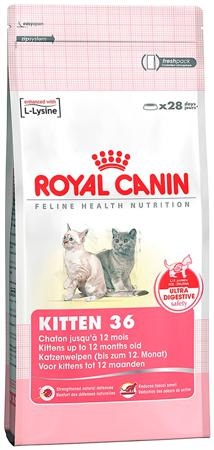 Royal canin jeleu pentru pisoi