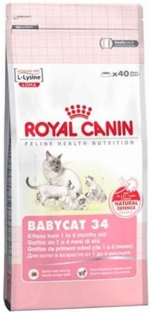 Royal canin jeleu pentru pisoi