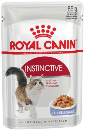 Royal canin jeleu pentru pisoi