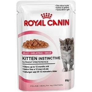 Royal canin jeleu pentru pisoi