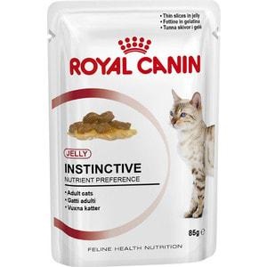 Royal canin jeleu pentru pisoi