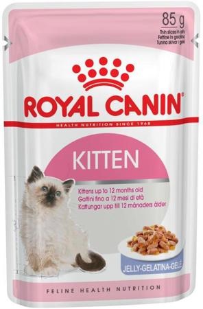 Royal canin jeleu pentru pisoi