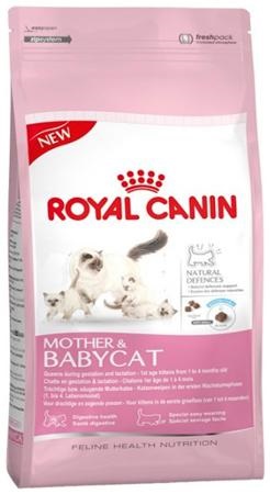 Royal canin желе для кошенят