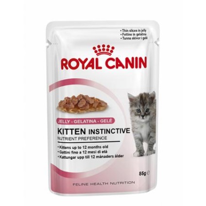 Royal canin jeleu pentru pisoi