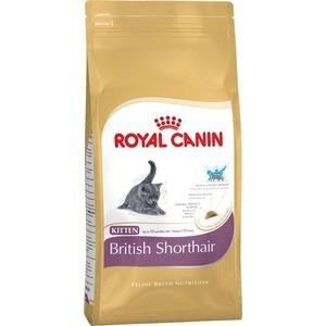 Royal canin jeleu pentru pisoi