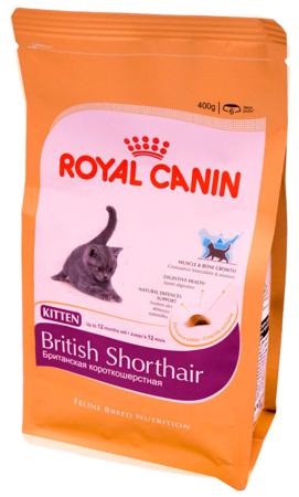 Royal canin jeleu pentru pisoi